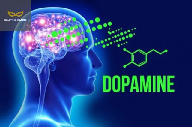 khoa học lý giải dopamine khi chơi cá cược