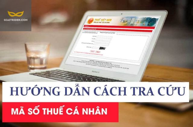 Những Lưu Ý Quan Trọng Khi Tra Cứu MST Cá Nhân